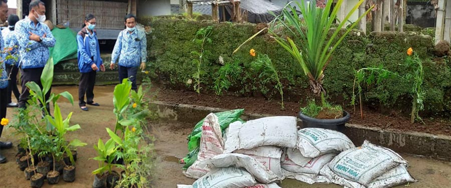 Tanaman Obat Keluarga dan Warung Hidup